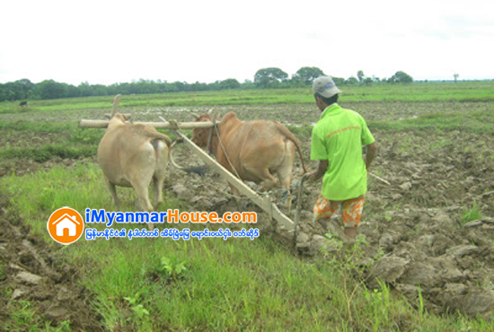 လယ္ေျမအေရာင္းအဝယ္ သတ္မွတ္ခ်က္ ျပည့္စံုမွ ေငြေခ်ပါ - Property News in Myanmar from iMyanmarHouse.com