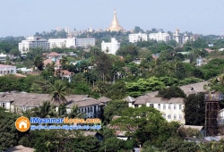 ေျမကြက္ အျမန္ ေရာင္းမည္