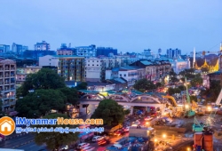 ေျမကြက္ အျမန္ ေရာင္းမည္