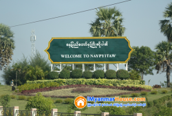 ေျမကြက္ အျမန္ ေရာင္းမည္