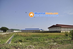 ေျမကြက္ အျမန္ ေရာင္းမည္