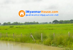 ေျမကြက္ အျမန္ ေရာင္းမည္