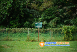 ေျမကြက္ အျမန္ ေရာင္းမည္