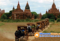 ေျမကြက္ အျမန္ ေရာင္းမည္