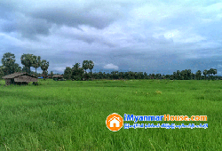 ေျမကြက္ အျမန္ ေရာင္းမည္