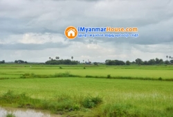 ေျမကြက္ အျမန္ ေရာင္းမည္