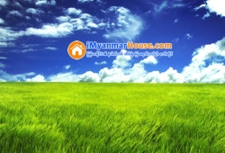 ေျမကြက္ အျမန္ ေရာင္းမည္