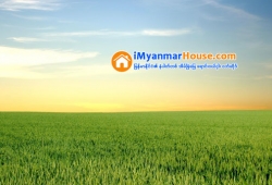 ေျမကြက္ အျမန္ ေရာင္းမည္