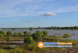 ေျမကြက္ အျမန္ ေရာင္းမည္