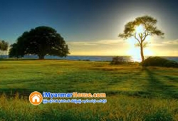 ေျမကြက္ အျမန္ ေရာင္းမည္