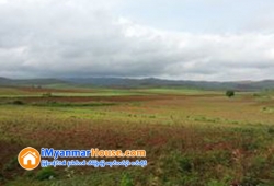 ေျမကြက္ အျမန္ ေရာင္းမည္