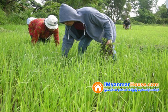 ေခတ္သစ္ေျမပိုင္ရွင္ႀကီးမ်ားနဲ႕ ျမန္မာ့ ဖြံ႕ၿဖိဳးမႈ အေကြ႕အေကာက္ - Property News in Myanmar from iMyanmarHouse.com