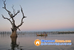 ေျမကြက္ အျမန္ ေရာင္းမည္