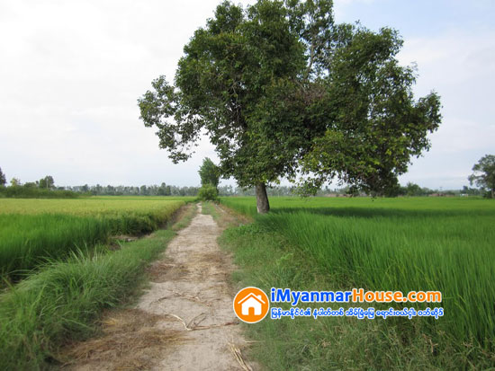 ေတာင္သူမ်ား ၀န္ထုပ္၀န္ပိုးမျဖစ္ေစဖို႔အတြက္ ေျမခြန္ႏႈန္းထား ျပင္ဆင္သတ္မွတ္ျခင္းမလုပ္ခဲ့လို႔ စိုက္ပ်ိဳး/ေမြးျမဴ ၀န္ႀကီးဆို - Property News in Myanmar from iMyanmarHouse.com