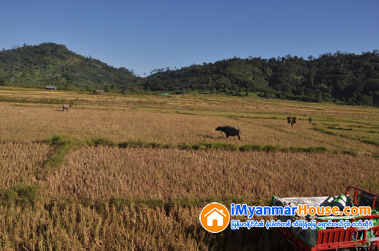 ဥယ်ာဥ္ၿခံေျမေတြမွာ စက္မႈဇုန္ အေကာင္ထည္မေဖာ္ဖို႔ ႏုိင္ငံေတာ္ အတုိင္ပင္ခံထံ စာပို႔ေတာင္းဆို - Property News in Myanmar from iMyanmarHouse.com