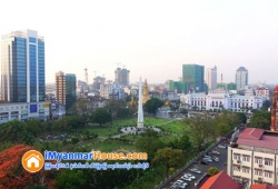 ေျမကြက္ အျမန္ ေရာင္းမည္