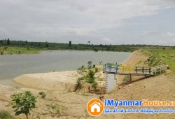 ေျမကြက္ အျမန္ ေရာင္းမည္
