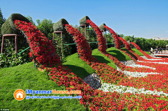 ဒူဘိုင္းရွိ ကမၻာေက်ာ္ Miracle Garden ပန္းျခံၾကီးအတြင္း Emirates A380 ေလယာဥ္ပံုသ႑ာန္ကို ပန္းမ်ားျဖင့္ တည္ေဆာက္ခဲ့ရာ ကမၻာ့အၾကီးမားဆံုး ပန္းအလွျပင္ ဆင္ယင္တည္ေဆာက္မႈဆိုင္ရာ ဂင္းနက္စ္ကမၻာ့စံခ်ိန္ဆု ရရွိ - Property News in Myanmar from iMyanmarHouse.com