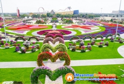 ေျမကြက္ အျမန္ ေရာင္းမည္