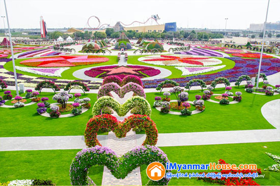 ဒူဘိုင္းရွိ ကမၻာေက်ာ္ Miracle Garden ပန္းျခံၾကီးအတြင္း Emirates A380 ေလယာဥ္ပံုသ႑ာန္ကို ပန္းမ်ားျဖင့္ တည္ေဆာက္ခဲ့ရာ ကမၻာ့အၾကီးမားဆံုး ပန္းအလွျပင္ ဆင္ယင္တည္ေဆာက္မႈဆိုင္ရာ ဂင္းနက္စ္ကမၻာ့စံခ်ိန္ဆု ရရွိ - Property News in Myanmar from iMyanmarHouse.com