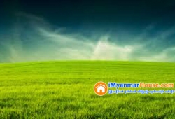 ေျမကြက္ အျမန္ ေရာင္းမည္