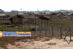 ေျမကြက္ အျမန္ ေရာင္းမည္