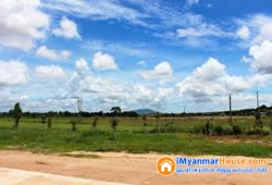 ေျမကြက္ အျမန္ ေရာင္းမည္