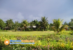 ေျမကြက္ အျမန္ ေရာင္းမည္