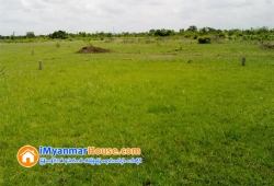 ေျမကြက္ အျမန္ ေရာင္းမည္