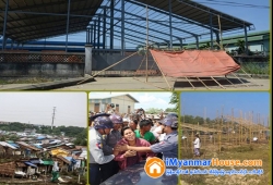 ေျမကြက္ အျမန္ ေရာင္းမည္