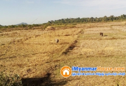 ေျမကြက္ အျမန္ ေရာင္းမည္