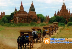 ေျမကြက္ အျမန္ ေရာင္းမည္