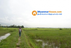 ေျမကြက္ အျမန္ ေရာင္းမည္