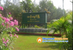 ေျမကြက္ အျမန္ ေရာင္းမည္