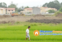 ေျမကြက္ အျမန္ ေရာင္းမည္