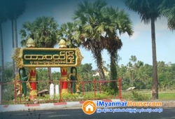 ေျမကြက္ အျမန္ ေရာင္းမည္