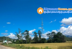 ေျမကြက္ အျမန္ ေရာင္းမည္