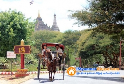 ေျမကြက္ အျမန္ ေရာင္းမည္
