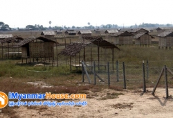 ေျမကြက္ အျမန္ ေရာင္းမည္