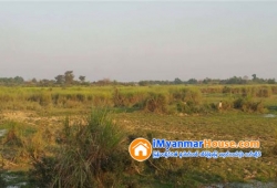 ေျမကြက္ အျမန္ ေရာင္းမည္