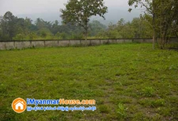 ေျမကြက္ အျမန္ ေရာင္းမည္