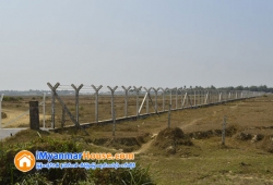 ေျမကြက္ အျမန္ ေရာင္းမည္