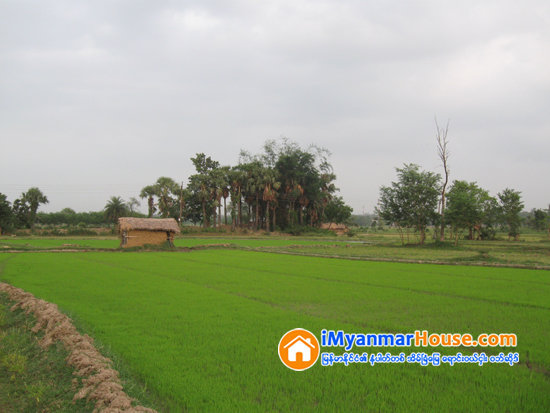 ေျမငွားဂရန္ သက္တမ္းတိုးေတာ့မယ္ဆိုရင္ - Property Knowledge in Myanmar from iMyanmarHouse.com