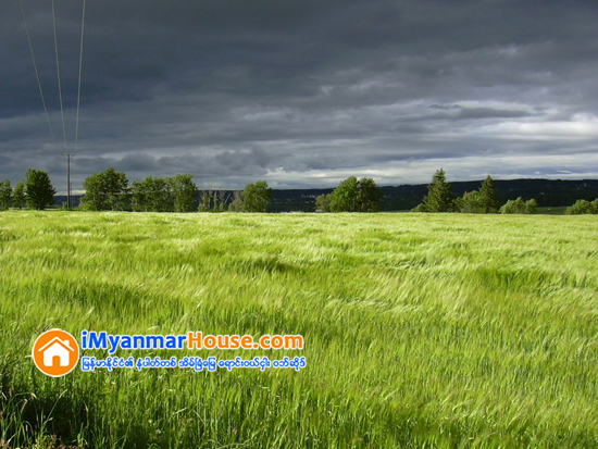 လယ္ယာေျမဥပေဒျပင္ဆင္ႏိုင္ေရး တိုင္းႏွင့္ျပည္နယ္ငါးခုမွ ေတာင္သူမ်ား မေကြးၿမိဳ႕တြင္ေတြ႕ဆံုေဆြးေႏြး - Property News in Myanmar from iMyanmarHouse.com