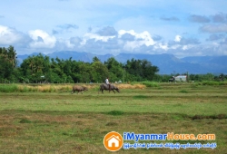 ေျမကြက္ အျမန္ ေရာင္းမည္