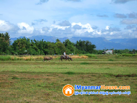 စည္းကမ္းမညီ ျပန္သိမ္းေျမ သပိတ္က်င္းနဲ႔ ျပင္ဦးလြင္ အမ်ားဆံုး - Property News in Myanmar from iMyanmarHouse.com