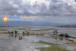 ေျမကြက္ အျမန္ ေရာင္းမည္