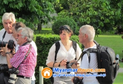ေျမကြက္ အျမန္ ေရာင္းမည္