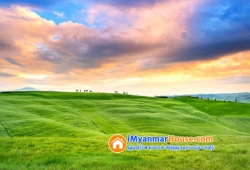 ေျမကြက္ အျမန္ ေရာင္းမည္