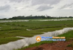 ေျမကြက္ အျမန္ ေရာင္းမည္